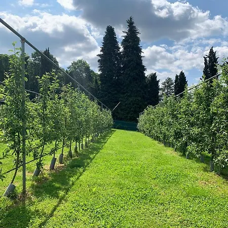 农家乐 Casale Al Foino