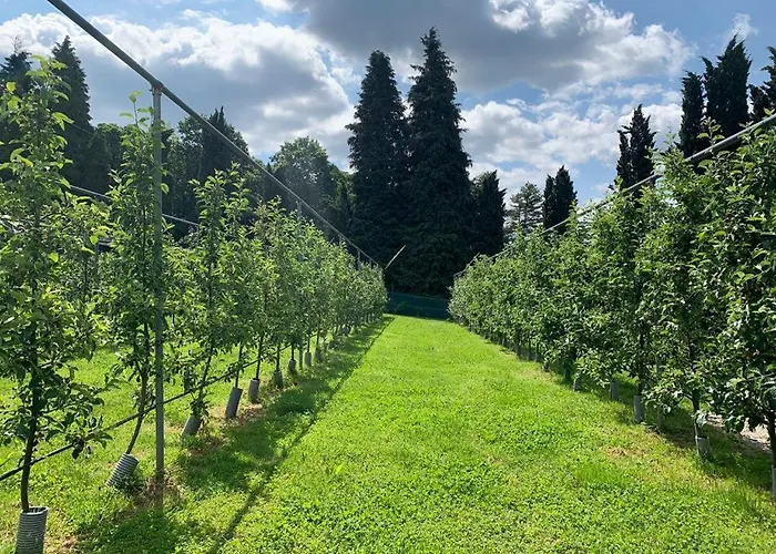 Agroturismo Casale Al Foino