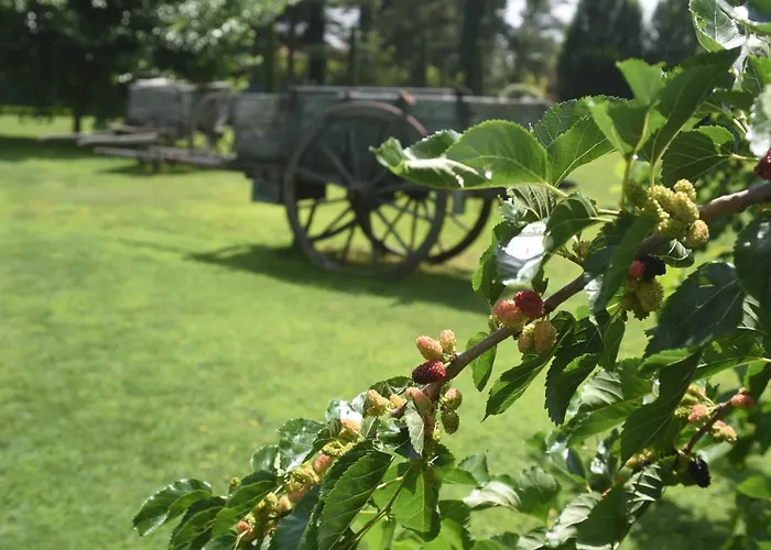 Agroturismo Casale Al Foino *