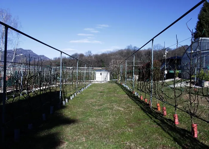 Agroturismo Casale Al Foino *